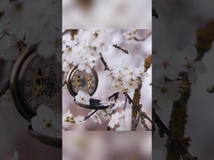 लिली रोज ओस्मानथस दांत सफेद करने वाला टूथपेस्ट 400 ग्राम सफेद कागज के पैकेज में